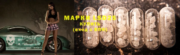 ПСИЛОЦИБИНОВЫЕ ГРИБЫ Тутаев