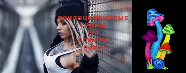 ПСИЛОЦИБИНОВЫЕ ГРИБЫ Тутаев