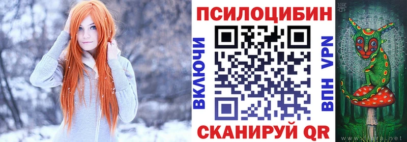 Псилоцибиновые грибы Psilocybe  Купить  Югорск 